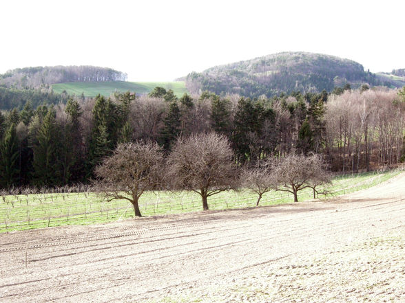 unterwegs mit dem wanderschäfer - 