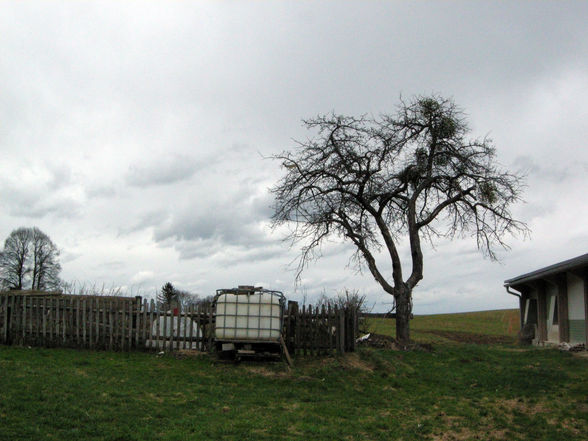 unterwegs mit dem wanderschäfer - 