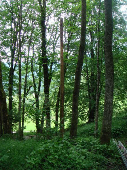 Bergwanderung - 