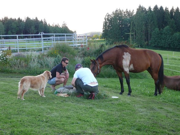 Feiern im Reitstall - 