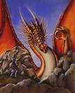 Drachen - 