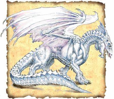 Drachen - 