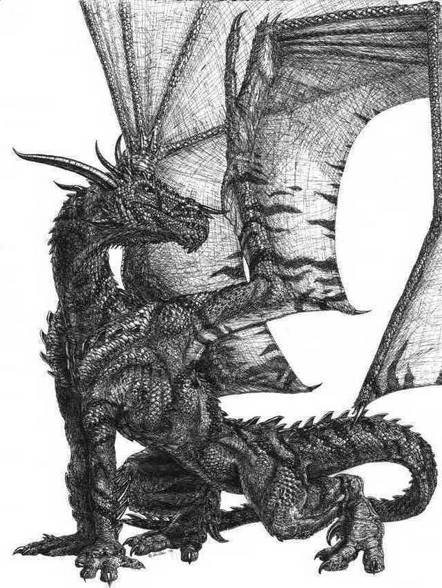 Drachen - 