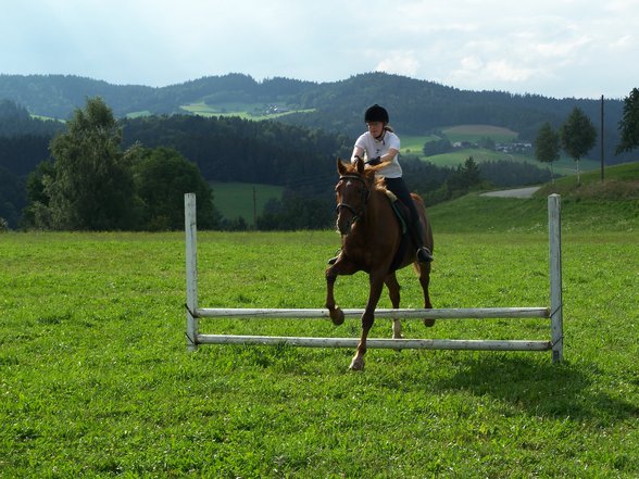 Das war mein Pferd  - 