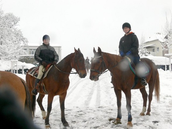 Das war mein Pferd  - 