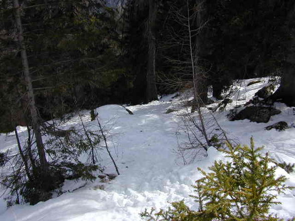 Bergsteigen Brunnkogel - 