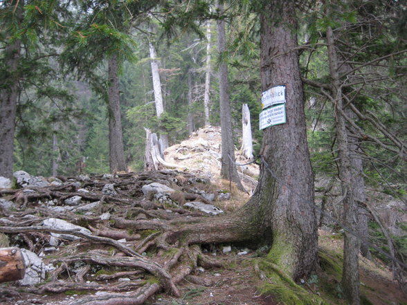 Bergsteigen TRAUNSTEIN - 