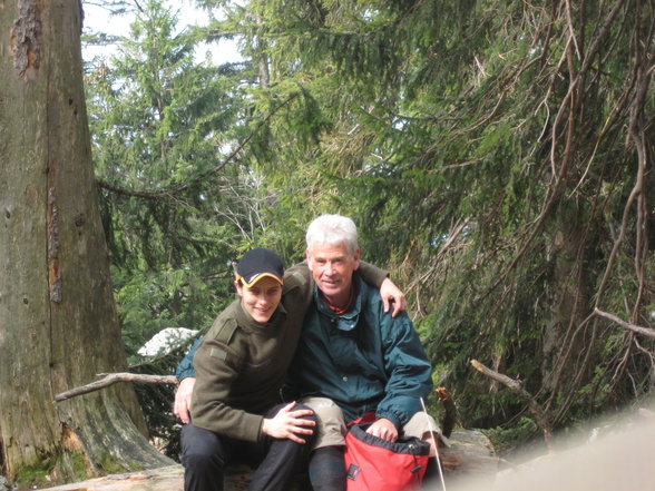 Bergsteigen TRAUNSTEIN - 