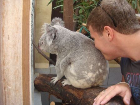 Koala  =) - 