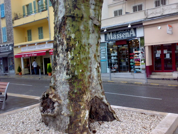 NiZzA!!! Frankreich. Côte d'Azur - 