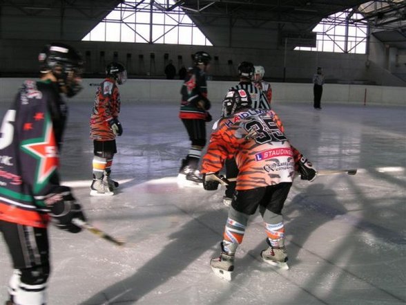 Eishockeysaison 2006/07 - 