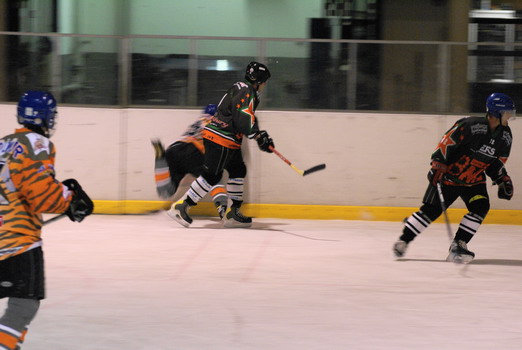 Eishockeysaison 2006/07 - 