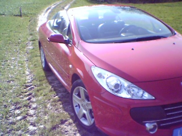 Probefahrt Peugeot 307 CC am 27.3.2007 - 