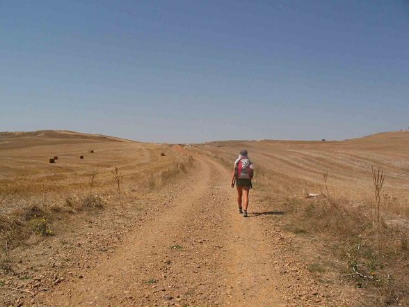 Camino de Santiago - 