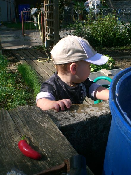 Nico im Garten.. ;o) - 