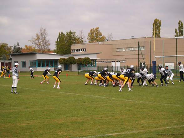 Football Steelsharks vs. Knights - 