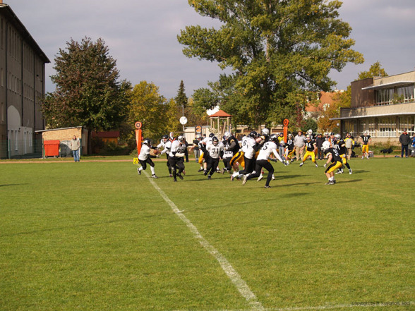 Football Steelsharks vs. Knights - 