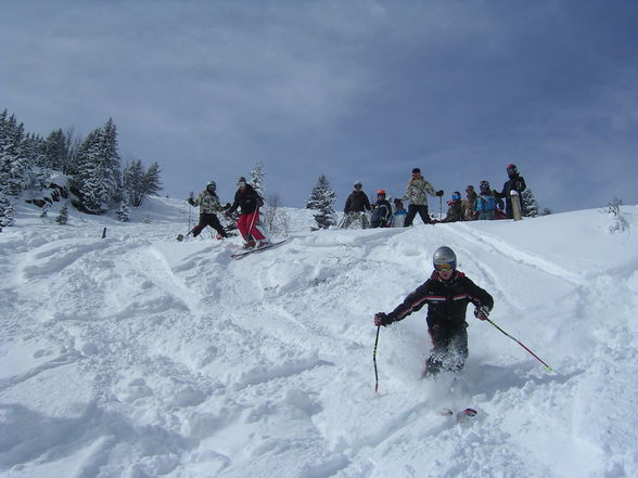 Skilehrer - 