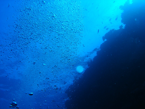 Australien - Great Barrier Reef - 