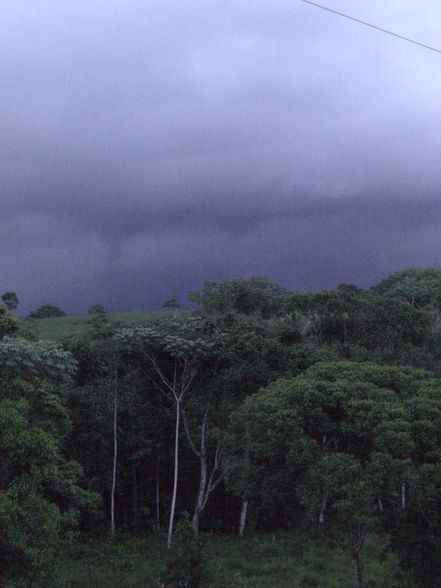 Pura Vida COSTA RICA - 