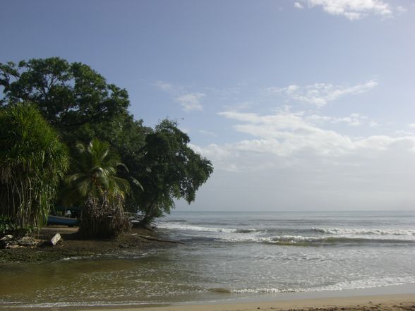 Pura Vida COSTA RICA - 