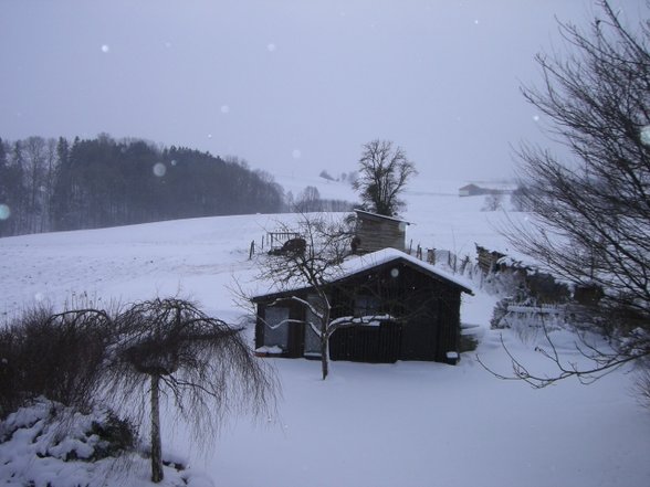 erste Schnee!! - 