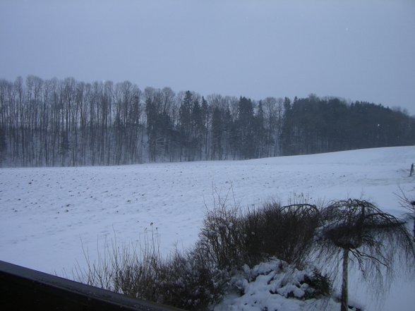 erste Schnee!! - 