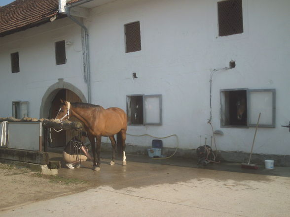 RV Stall Kürnberg - 