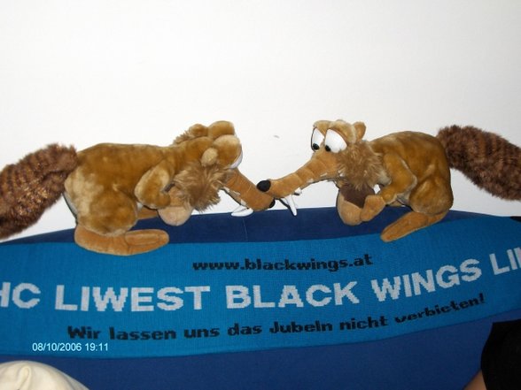 Black Wings - 