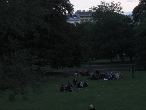 eine Nacht in Wien - 