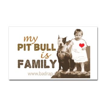 pit bull - 