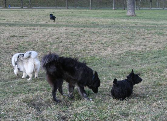 Spaziergang in Linz - Urfahr - 