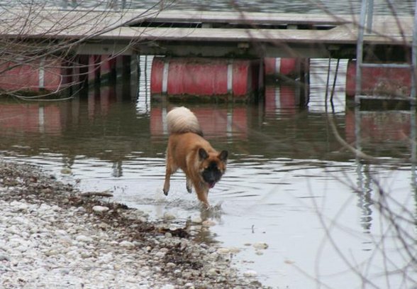 Spaziergang am Oedter See - 