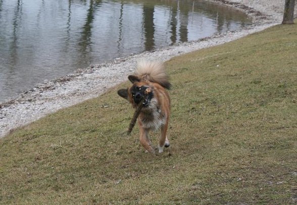 Spaziergang am Oedter See - 