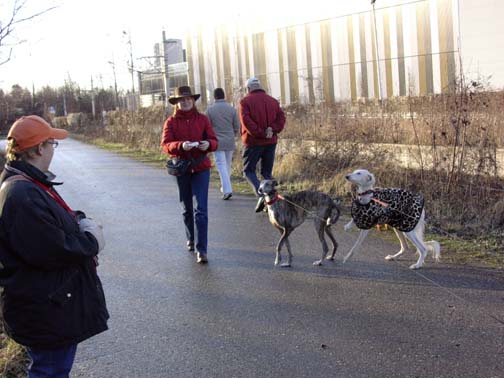 Spaziergang in der Trauner Au - 