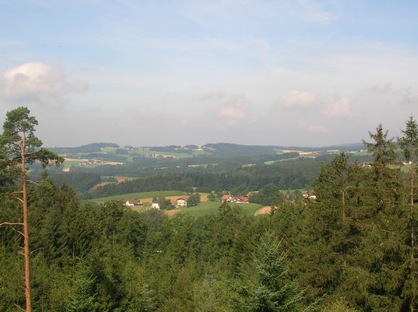 Baumkronenweg 2009 - 