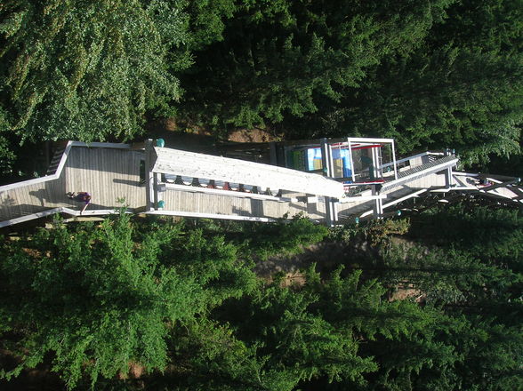 Baumkronenweg 2009 - 