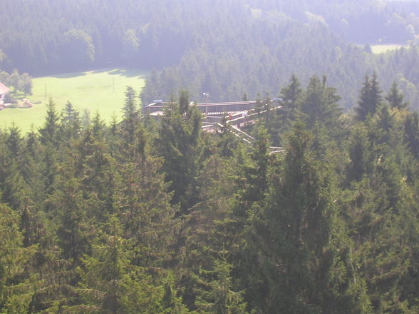 Baumkronenweg 2009 - 