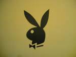 PlayBoyBuNNy 's - 