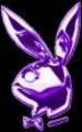 PlayBoyBuNNy 's - 