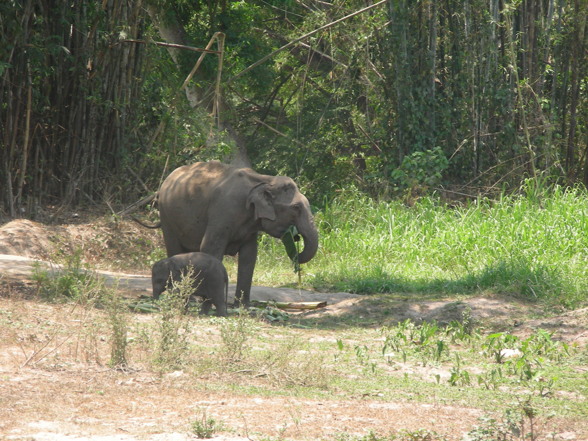 thailand - 