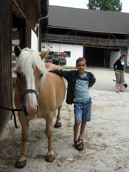 Witzelsberg 2007 - 