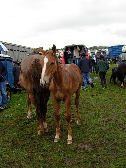 Irland 2007 - 