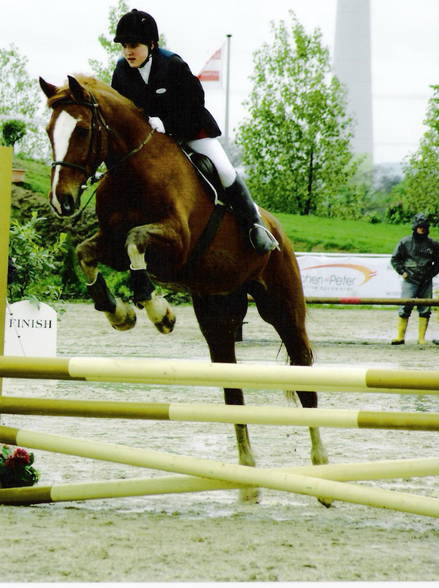 Reiten und Pferde - 