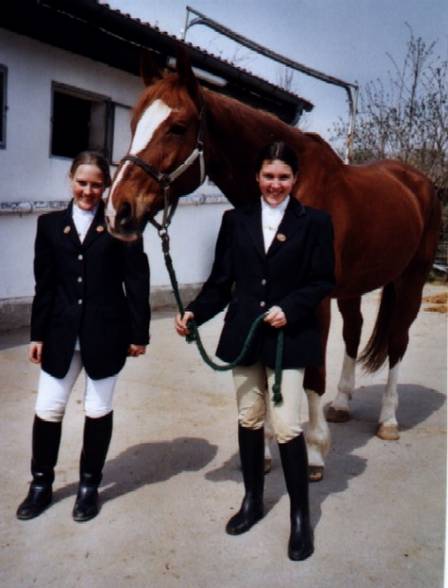 Reiten und Pferde - 