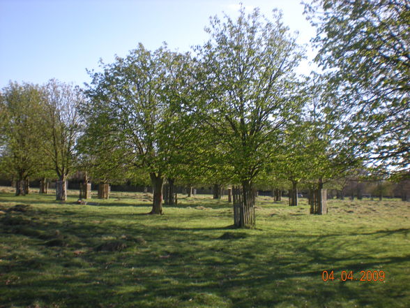 London 2009 - Bushy Park - 