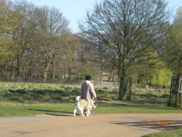 London 2009 - Bushy Park - 