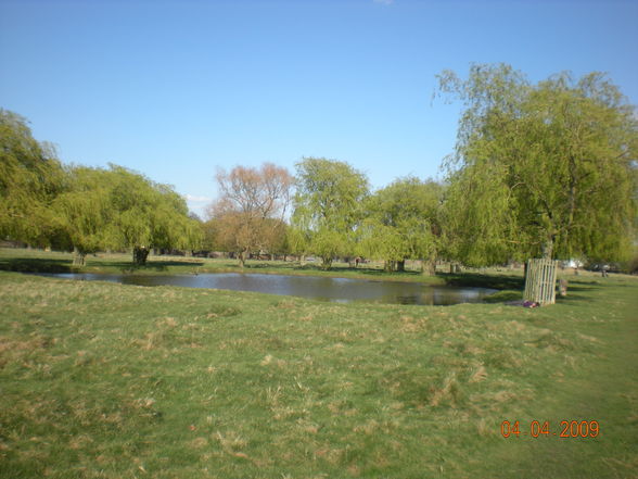 London 2009 - Bushy Park - 