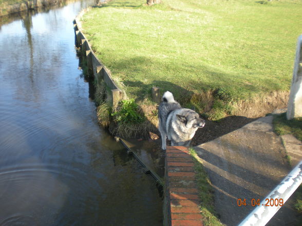 London 2009 - Bushy Park - 