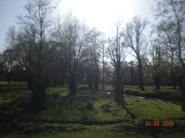 London 2009 - Bushy Park - 